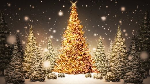 El árbol de navidad y otras creencias absurdas