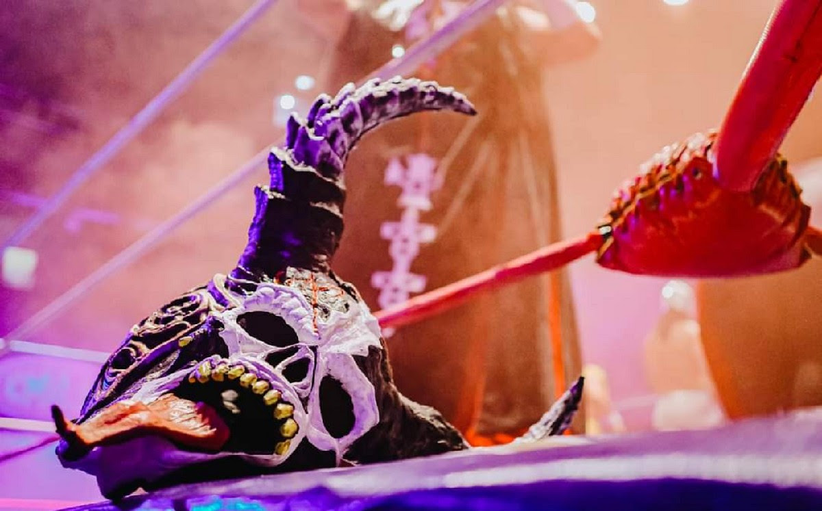 LO QUE APRENDÍ EN LAS LUCHAS